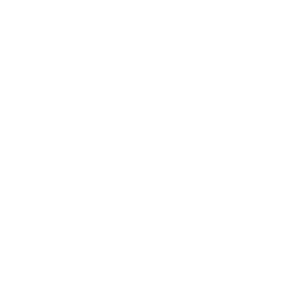 Exclusive Agent Adeslas Insurance